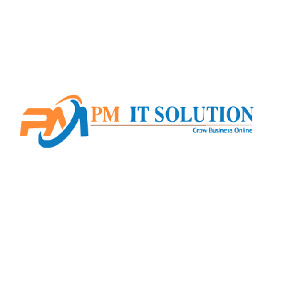 PM IT Solution - Biz info systems