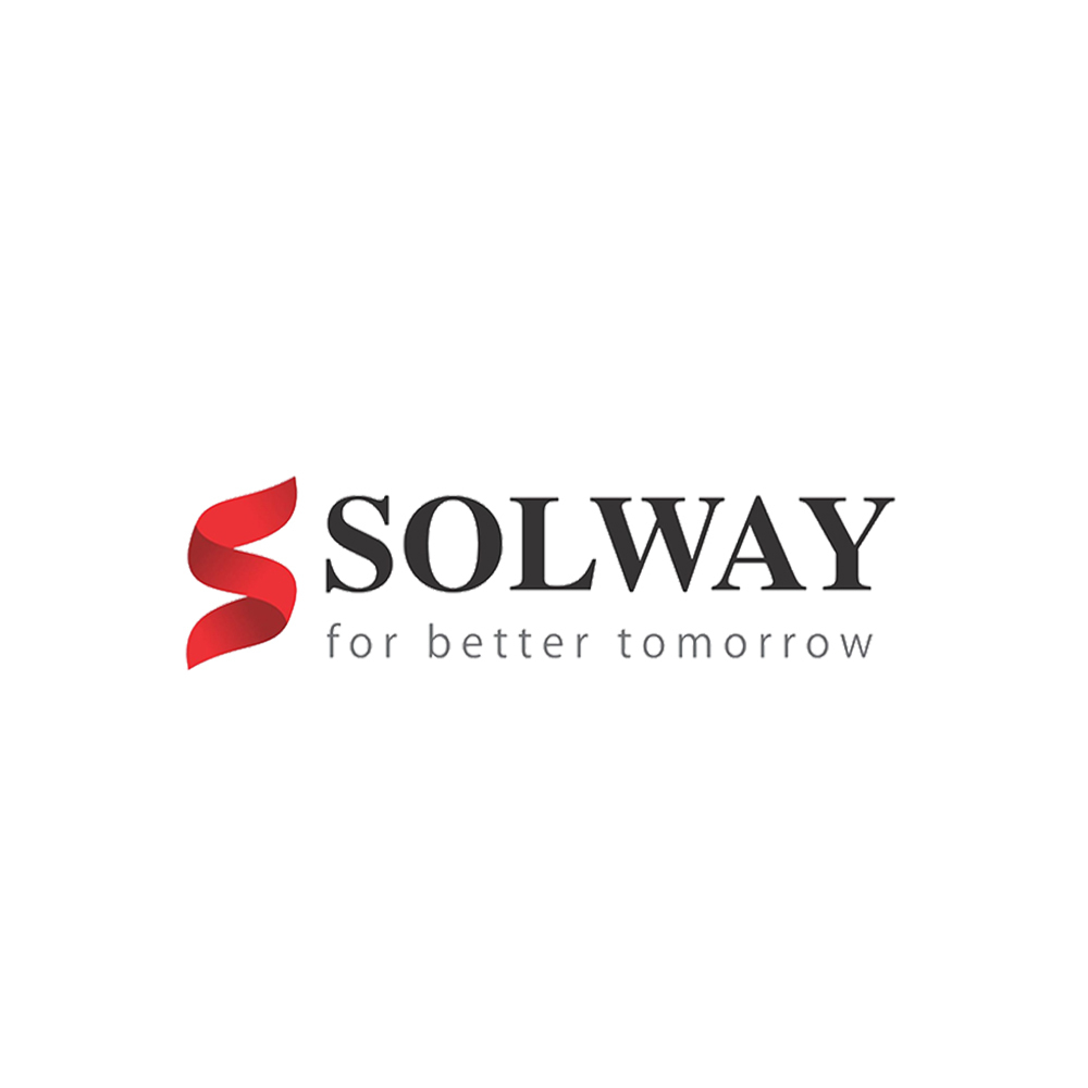Solway Pharmaceuticals Pvt. Ltd. - Biz info systems
